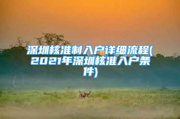 深圳核准制入户详细流程(2021年深圳核准入户条件)