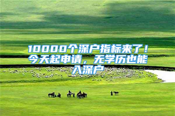 10000个深户指标来了！今天起申请，无学历也能入深户