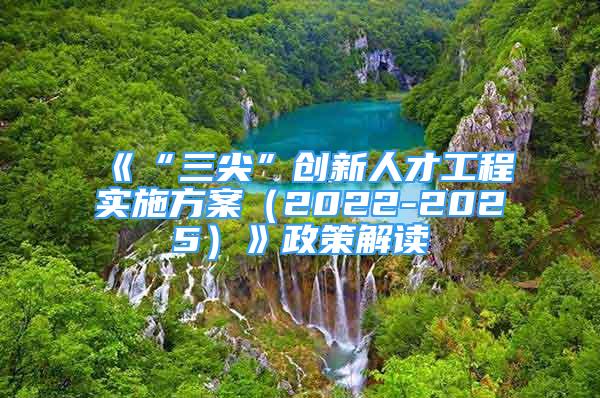 《“三尖”创新人才工程实施方案（2022-2025）》政策解读