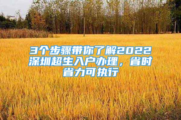 3个步骤带你了解2022深圳超生入户办理，省时省力可执行