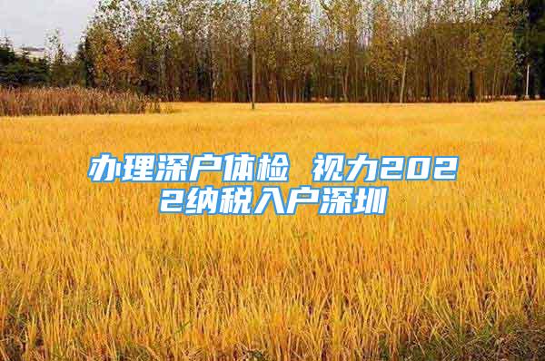 办理深户体检 视力2022纳税入户深圳