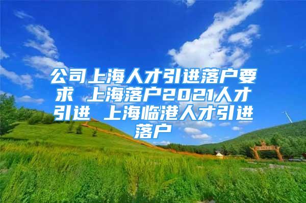 公司上海人才引进落户要求 上海落户2021人才引进 上海临港人才引进落户