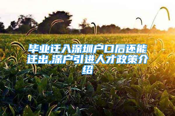 毕业迁入深圳户口后还能迁出,深户引进人才政策介绍