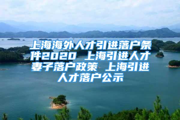 上海海外人才引进落户条件2020 上海引进人才妻子落户政策 上海引进人才落户公示