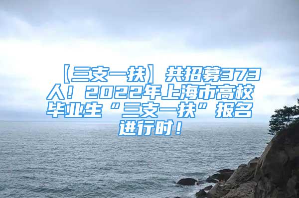 【三支一扶】共招募373人！2022年上海市高校毕业生“三支一扶”报名进行时！