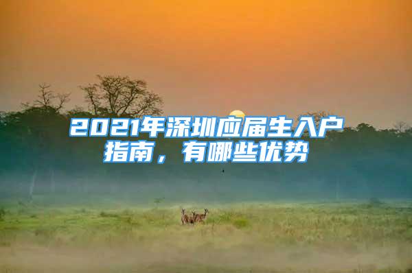 2021年深圳应届生入户指南，有哪些优势