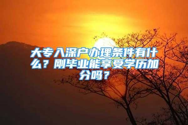 大专入深户办理条件有什么？刚毕业能享受学历加分吗？