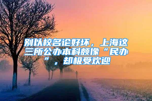 别以校名论好坏，上海这三所公办本科颇像“民办”，却极受欢迎