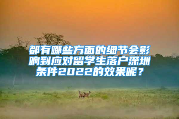 都有哪些方面的细节会影响到应对留学生落户深圳条件2022的效果呢？