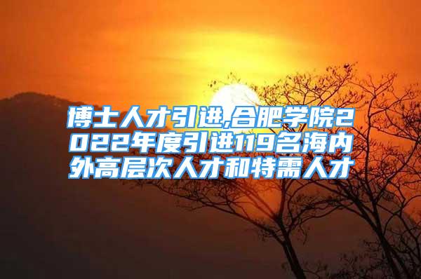 博士人才引进,合肥学院2022年度引进119名海内外高层次人才和特需人才