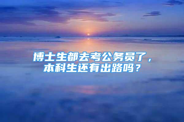 博士生都去考公务员了，本科生还有出路吗？