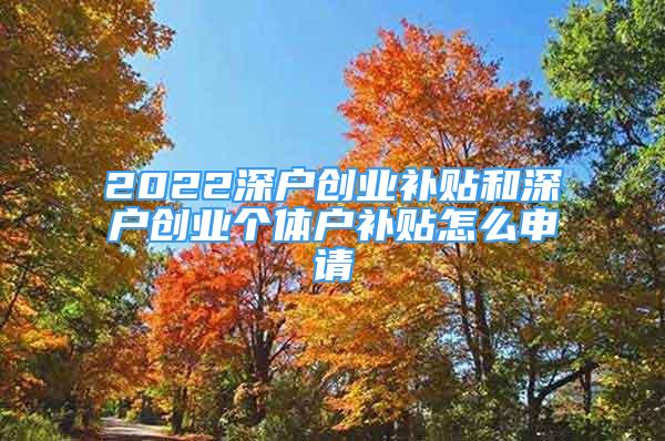 2022深户创业补贴和深户创业个体户补贴怎么申请