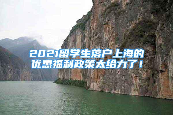 2021留学生落户上海的优惠福利政策太给力了！