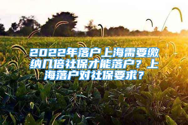 2022年落户上海需要缴纳几倍社保才能落户？上海落户对社保要求？