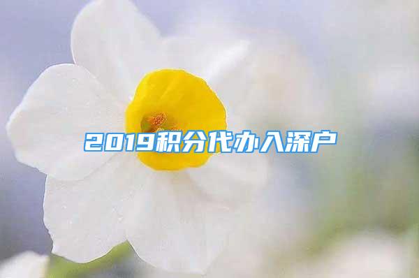 2019积分代办入深户