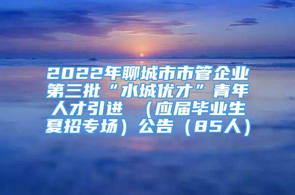 2022年聊城市市管企业第三批“水城优才”青年人才引进 （应届毕业生夏招专场）公告（85人）