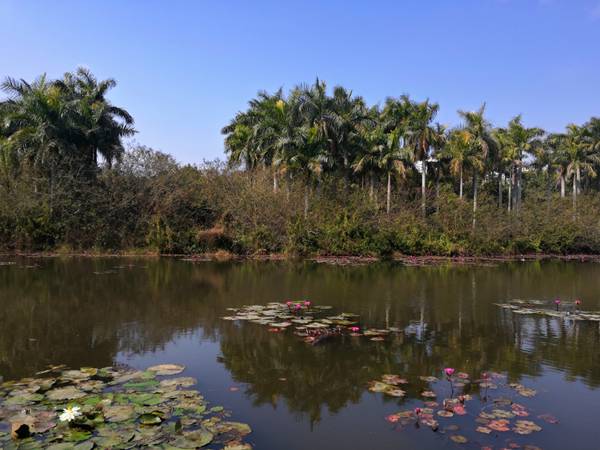 深圳转户口去哪里办理流程