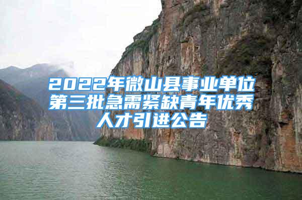 2022年微山县事业单位第三批急需紧缺青年优秀人才引进公告