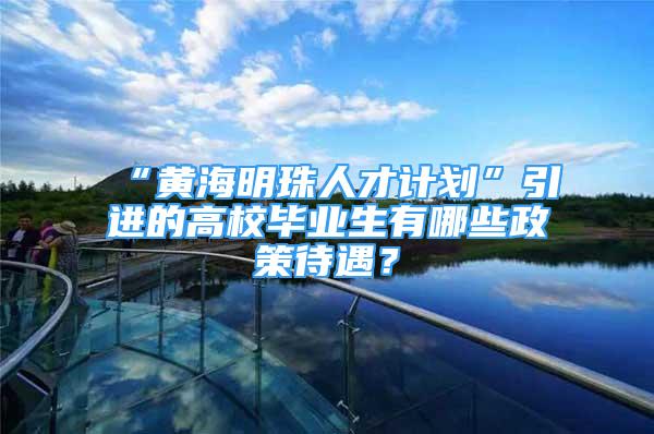 “黄海明珠人才计划”引进的高校毕业生有哪些政策待遇？