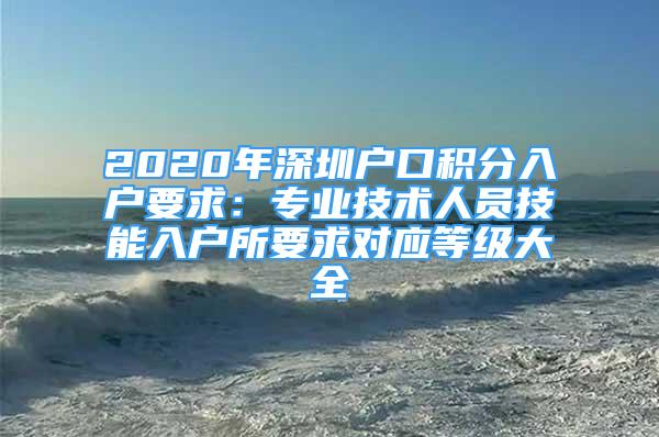 2020年深圳户口积分入户要求：专业技术人员技能入户所要求对应等级大全