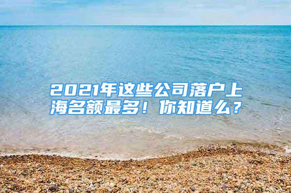 2021年这些公司落户上海名额最多！你知道么？