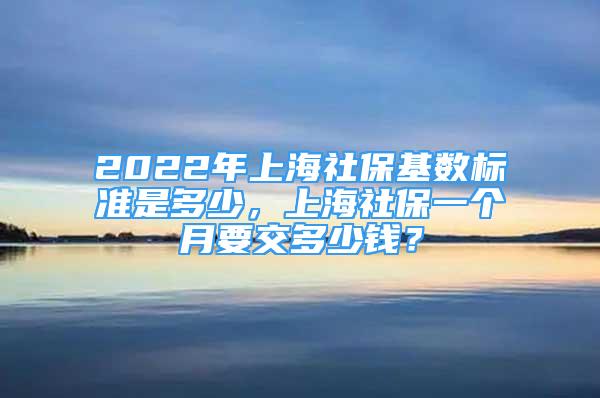 2022年上海社保基数标准是多少，上海社保一个月要交多少钱？