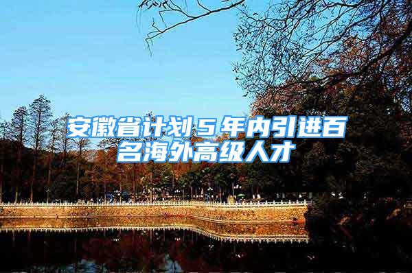 安徽省计划５年内引进百名海外高级人才