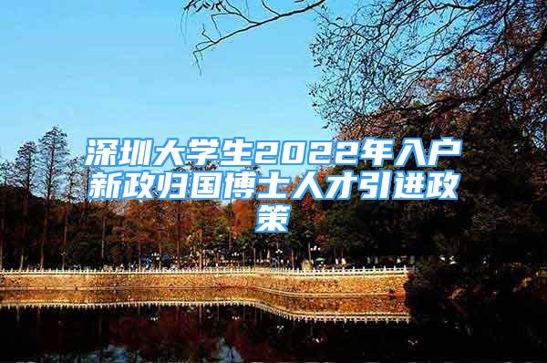 深圳大学生2022年入户新政归国博士人才引进政策