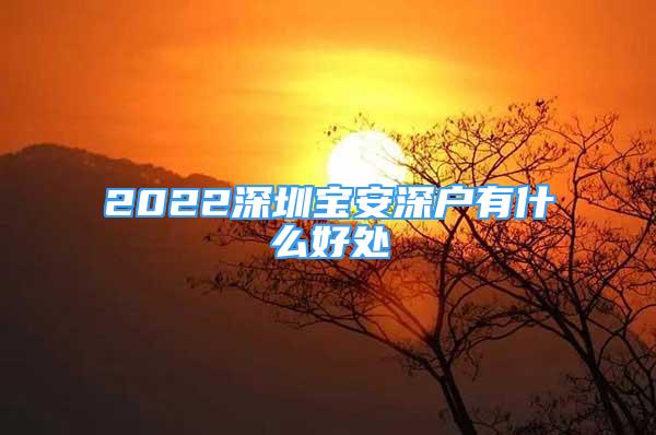 2022深圳宝安深户有什么好处