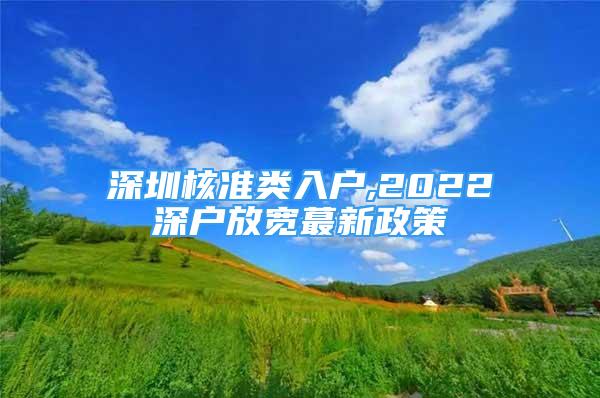 深圳核准类入户,2022深户放宽蕞新政策