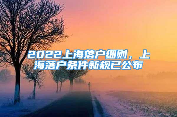 2022上海落户细则，上海落户条件新规已公布