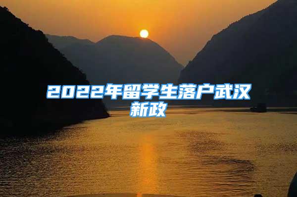 2022年留学生落户武汉新政