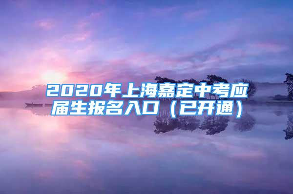 2020年上海嘉定中考应届生报名入口（已开通）