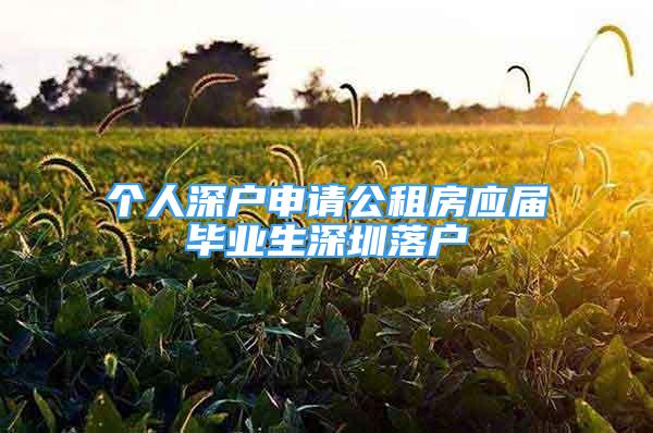 个人深户申请公租房应届毕业生深圳落户