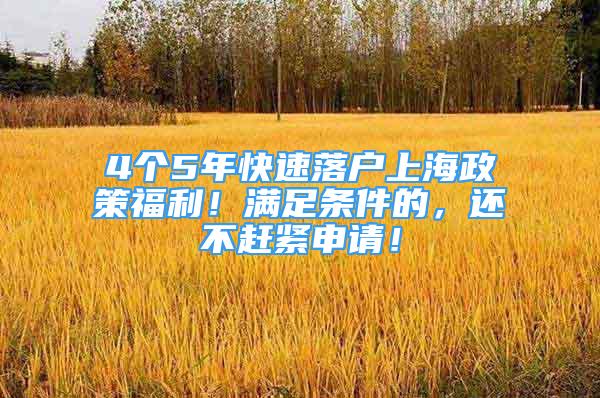 4个5年快速落户上海政策福利！满足条件的，还不赶紧申请！