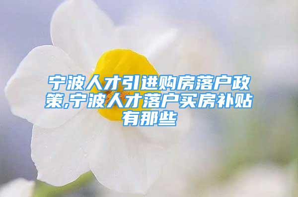 宁波人才引进购房落户政策,宁波人才落户买房补贴有那些