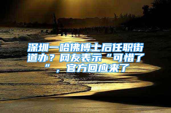 深圳一哈佛博士后任职街道办？网友表示“可惜了”，官方回应来了