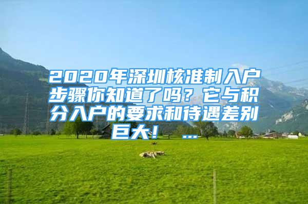 2020年深圳核准制入户步骤你知道了吗？它与积分入户的要求和待遇差别巨大！ ...