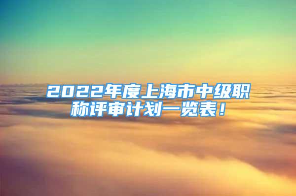 2022年度上海市中级职称评审计划一览表！