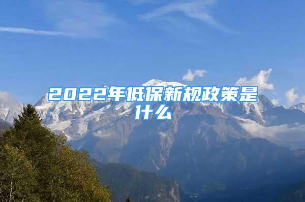 2022年低保新规政策是什么