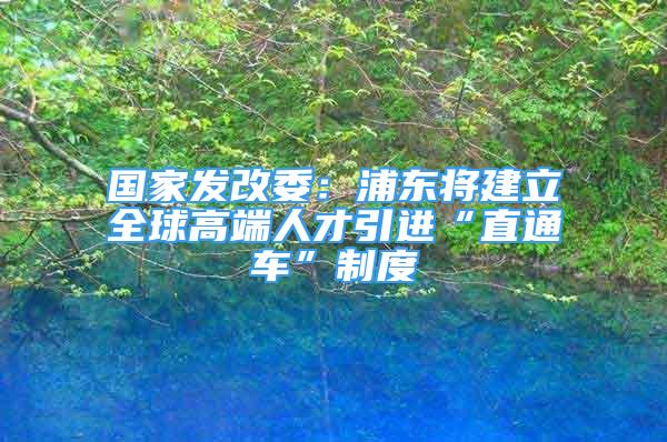 国家发改委：浦东将建立全球高端人才引进“直通车”制度