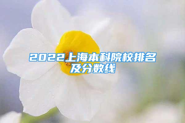 2022上海本科院校排名及分数线