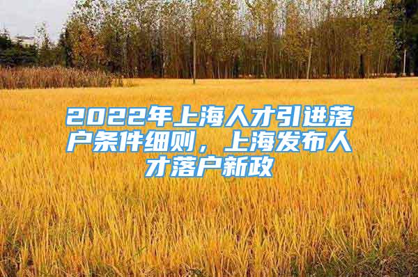 2022年上海人才引进落户条件细则，上海发布人才落户新政