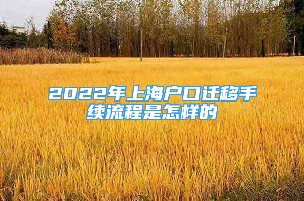 2022年上海户口迁移手续流程是怎样的