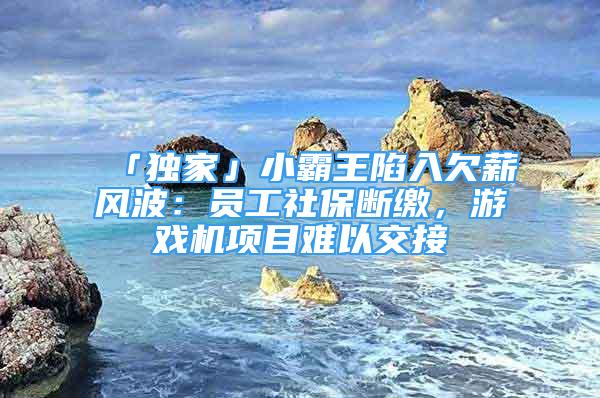 「独家」小霸王陷入欠薪风波：员工社保断缴，游戏机项目难以交接