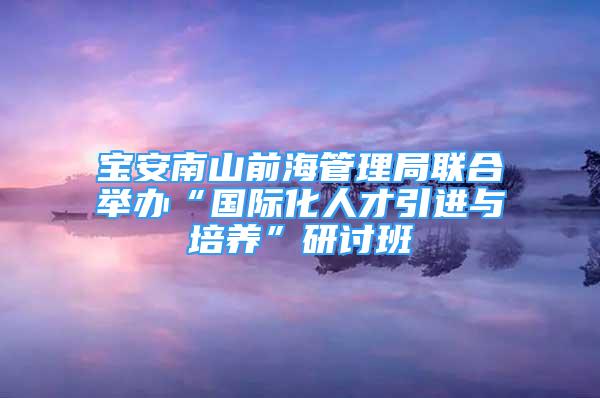 宝安南山前海管理局联合举办“国际化人才引进与培养”研讨班