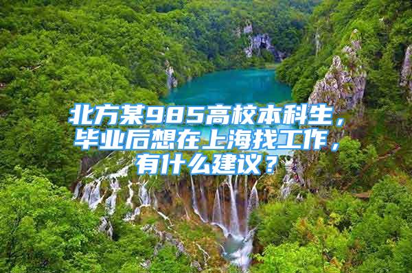 北方某985高校本科生，毕业后想在上海找工作，有什么建议？