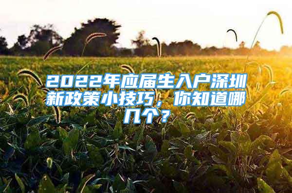 2022年应届生入户深圳新政策小技巧，你知道哪几个？