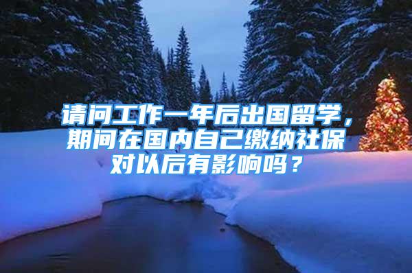 请问工作一年后出国留学，期间在国内自己缴纳社保对以后有影响吗？