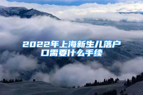 2022年上海新生儿落户口需要什么手续